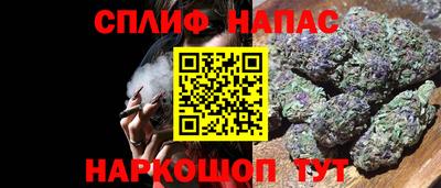 гашик Ливны