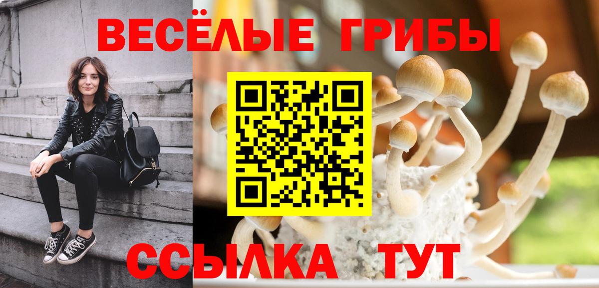 Галлюциногенные грибы прущие грибы Изобильный
