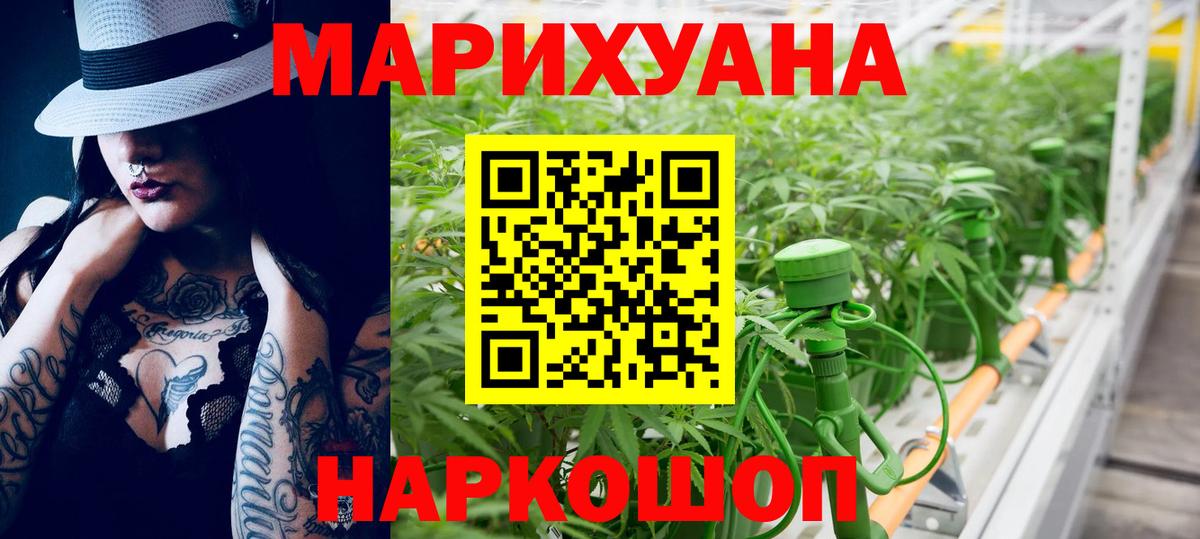 Конопля планчик Изобильный